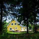 Loodus, mets, vanad kuused. Uueõue maja ja aed- Kessulaid, Eesti 